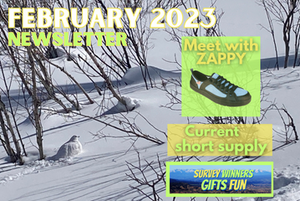 February News: Expanding Our Line Of The Traditional Lacing System And Short Supply Of Fabric