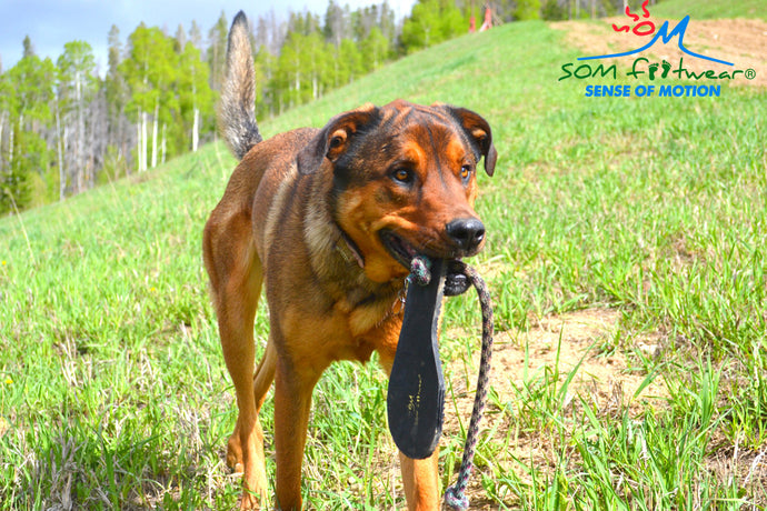 Ecofriendly dog toy made in america by SOM Footwear.